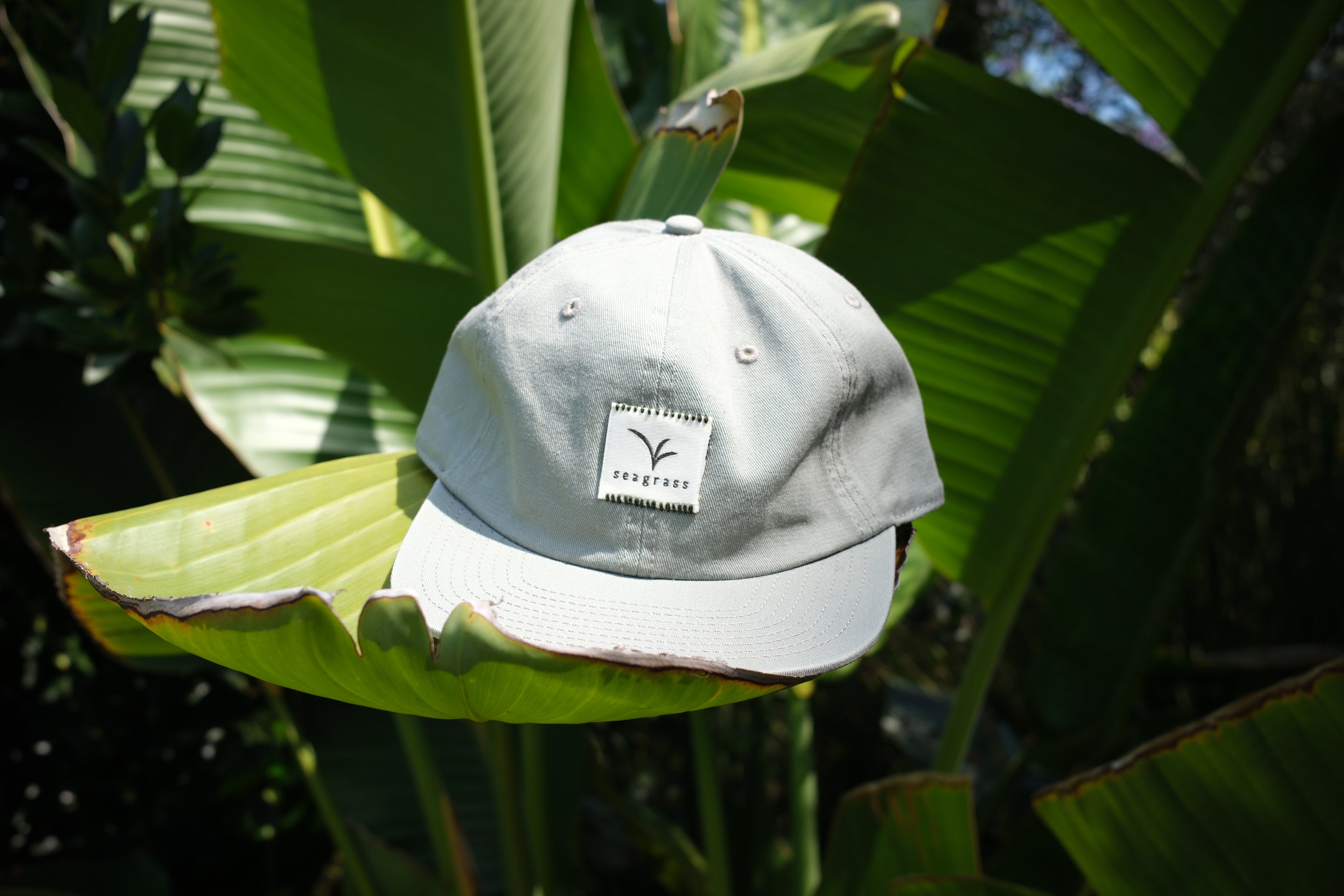 Summer Cap – seagrass