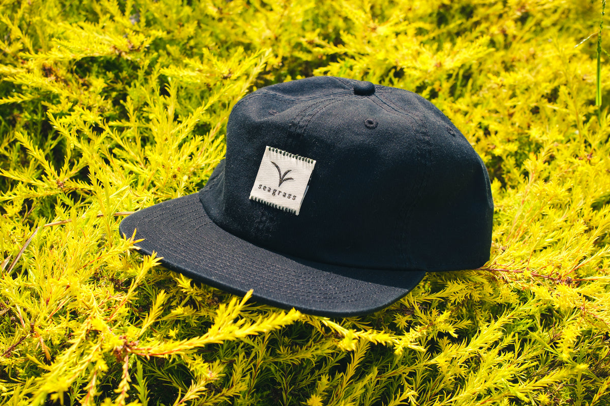 Summer Cap